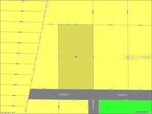 35391 Overcup Drive Webster FL 33597 G5054488 image1