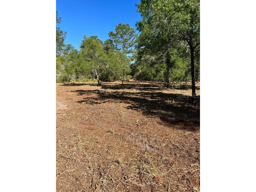 35391 Overcup Drive Webster FL 33597 T3461039 image1