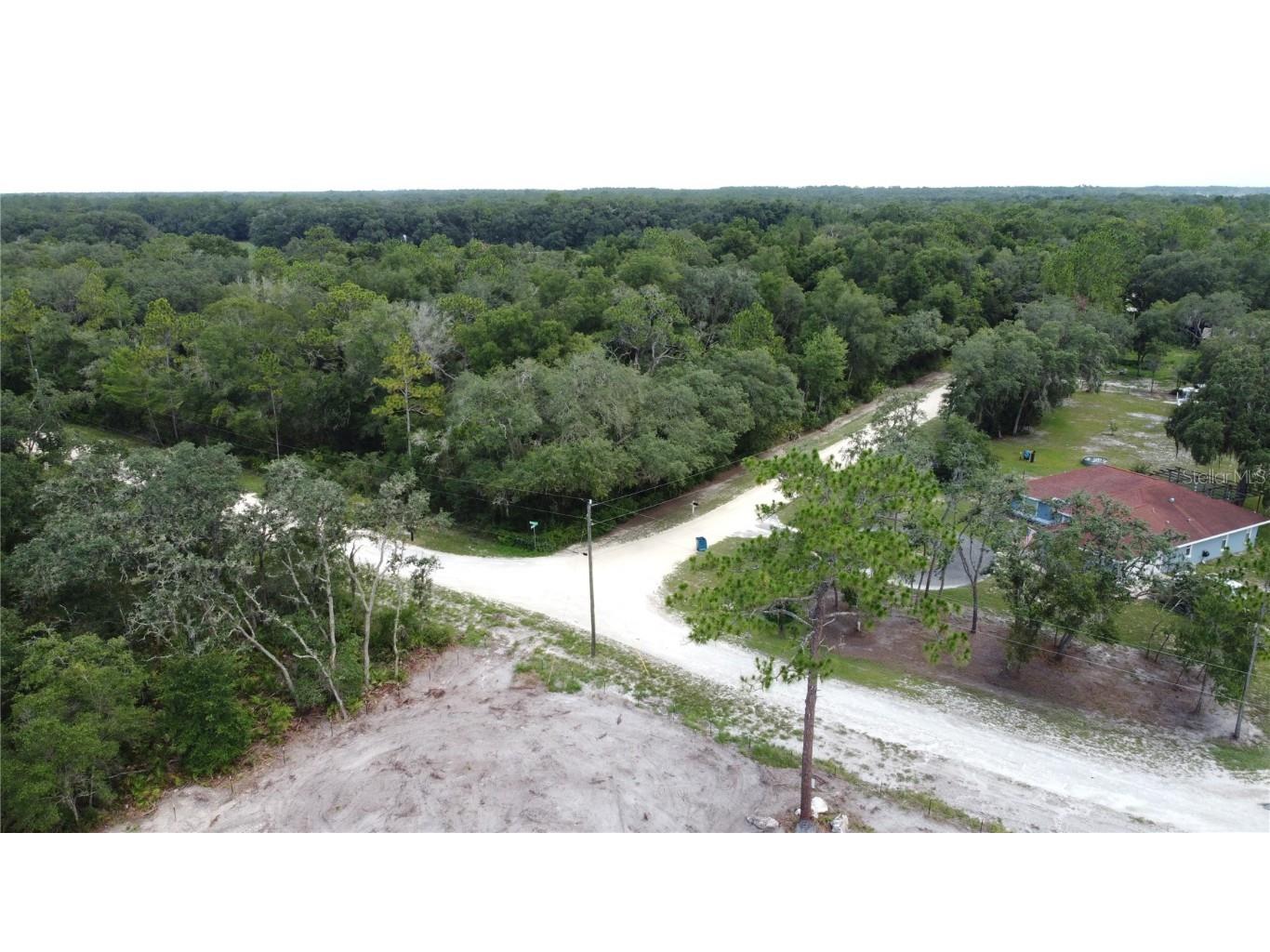 35391 Overcup Drive Webster FL 33597 T3539717 image13