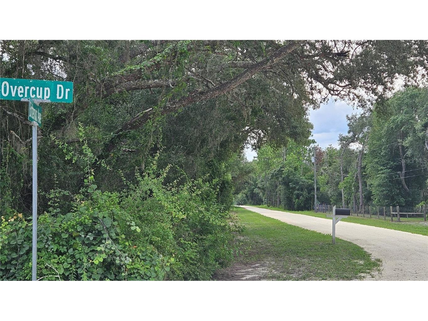 35391 Overcup Drive Webster FL 33597 T3539717 image16