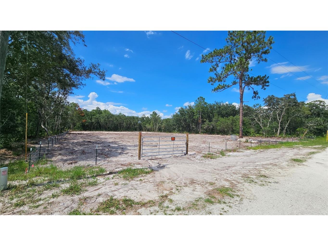 35391 Overcup Drive Webster FL 33597 T3539717 image2