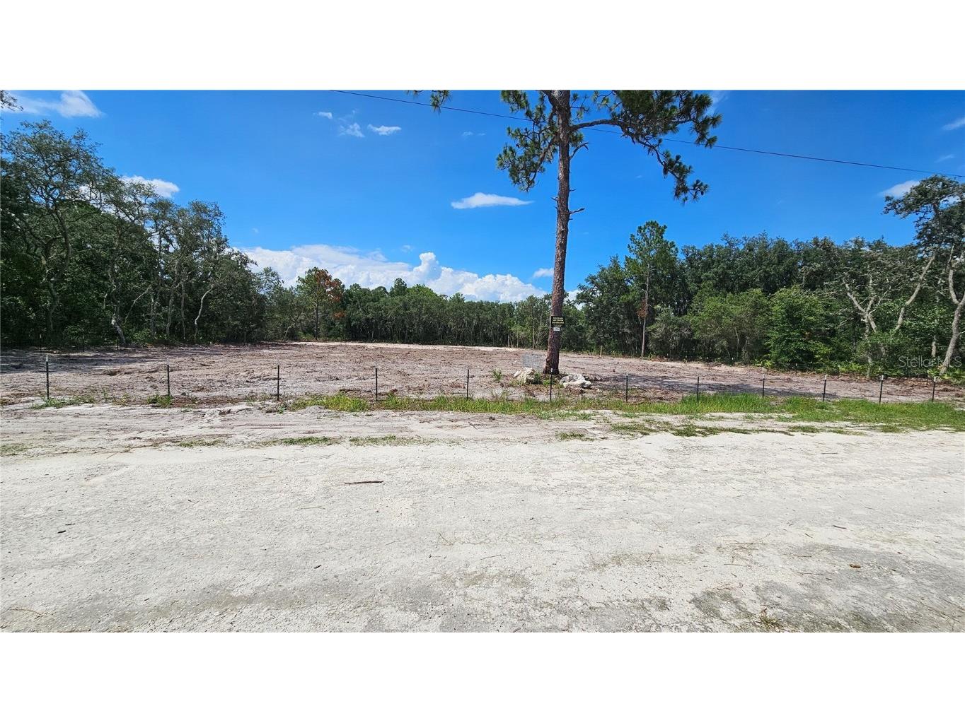 35391 Overcup Drive Webster FL 33597 T3539717 image3