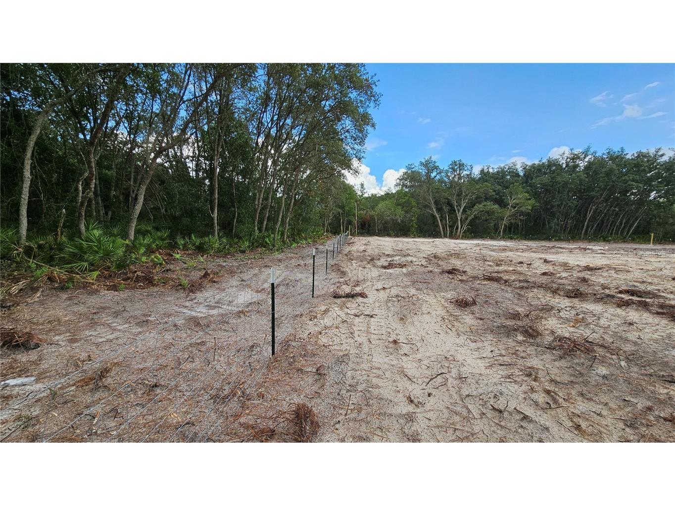 35391 Overcup Drive Webster FL 33597 T3539717 image4