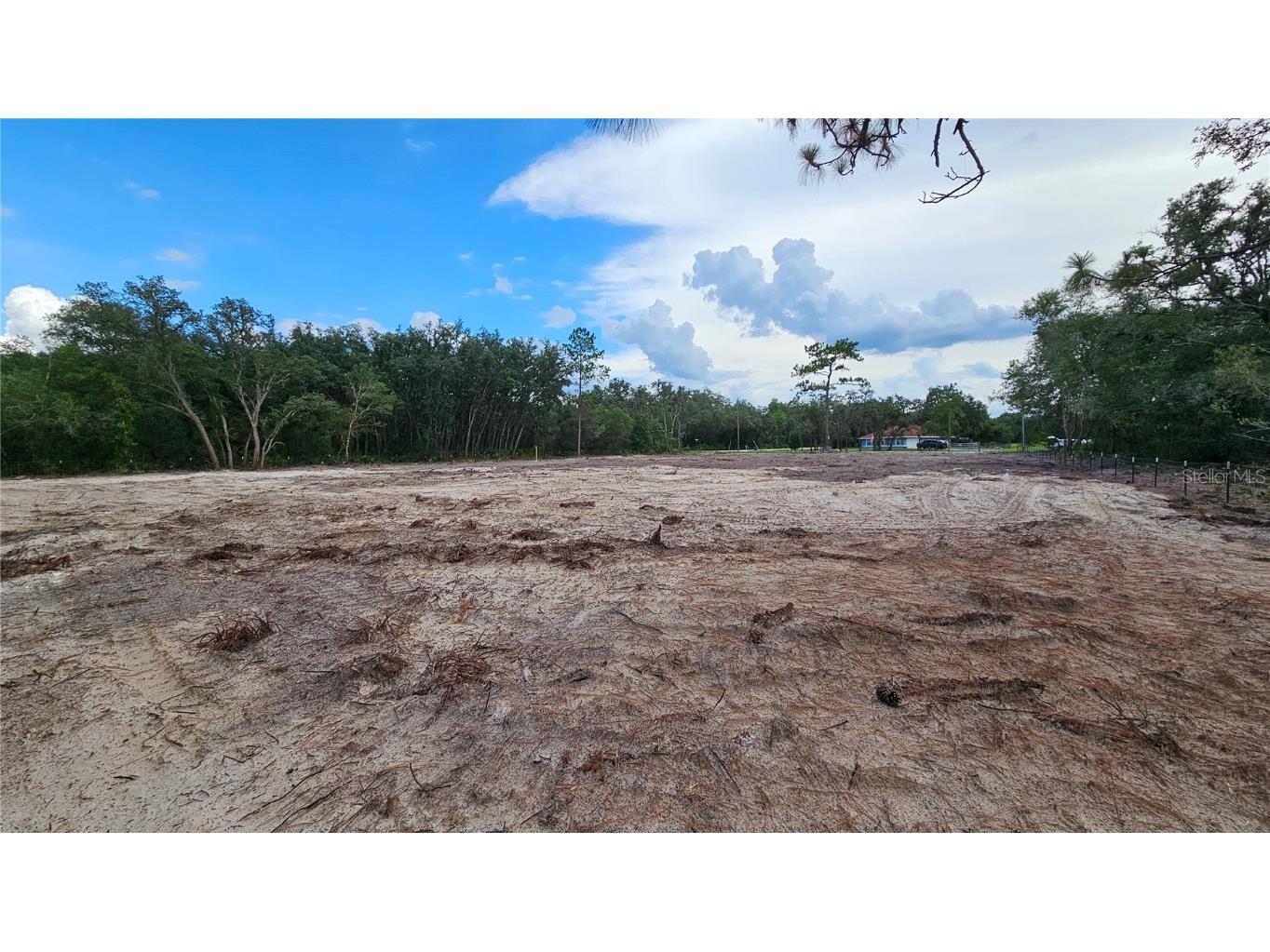 35391 Overcup Drive Webster FL 33597 T3539717 image5