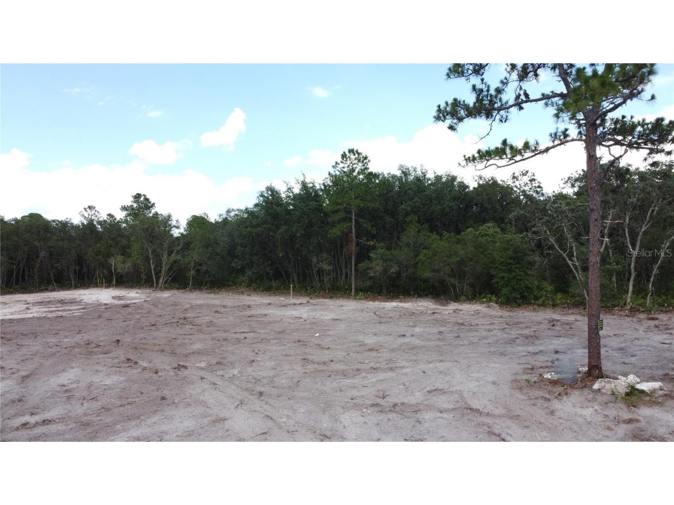 35391 Overcup Drive Webster FL 33597 T3539717 image9