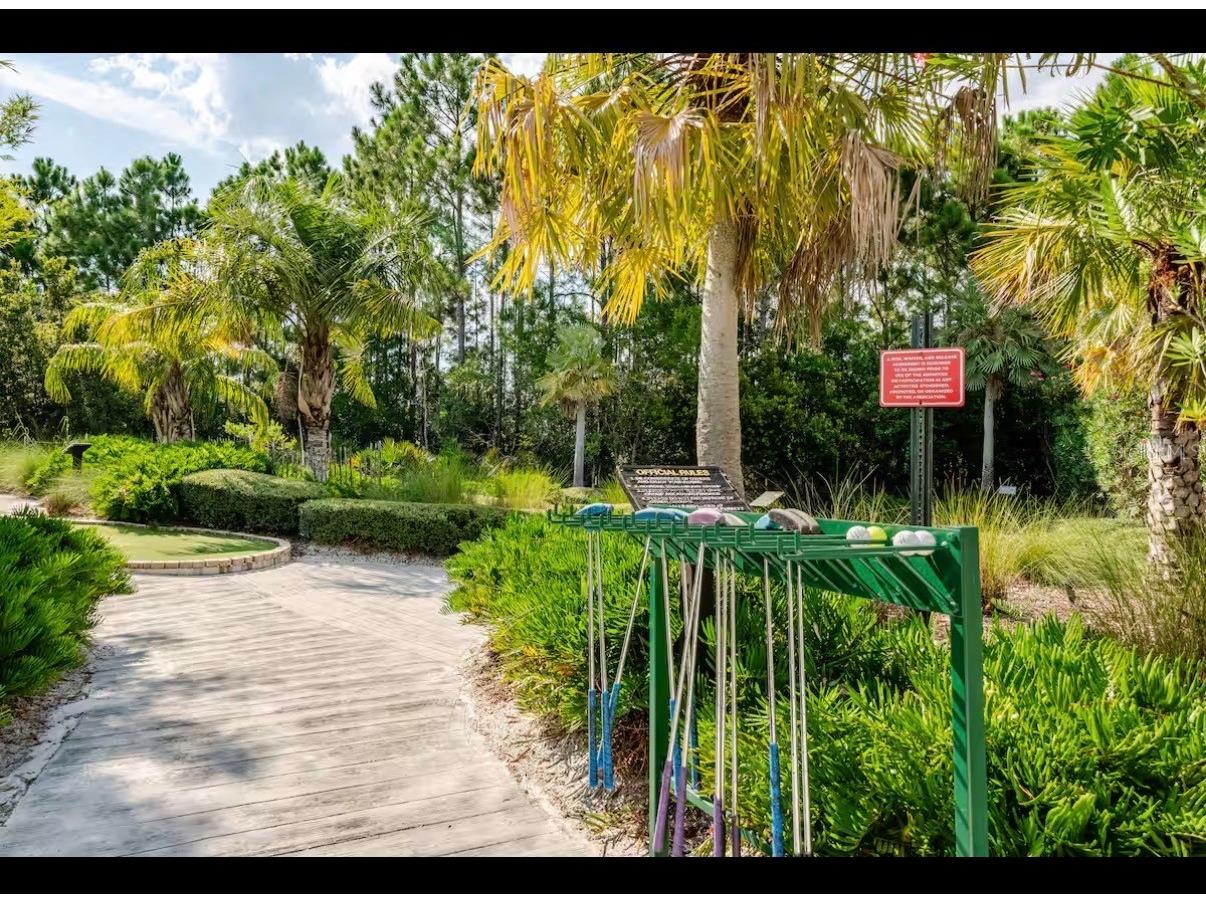 354 Captiva Drive Davenport FL 33896 O6409312 image33
