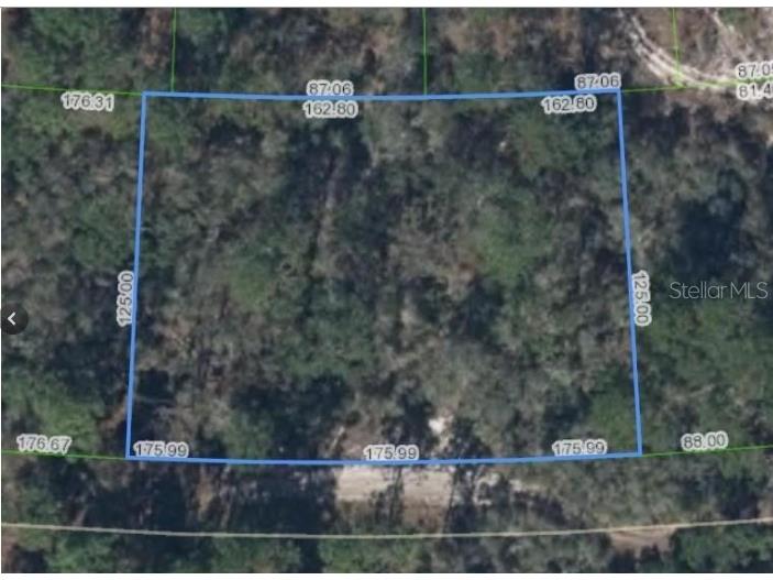 354 Cartier Avenue Lake Placid FL 33852 P4936020 image1