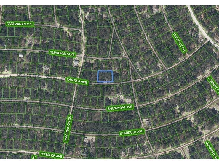 354 Cartier Avenue Lake Placid FL 33852 P4936020 image2