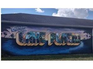 354 Cartier Avenue Lake Placid FL 33852 P4936020 image5