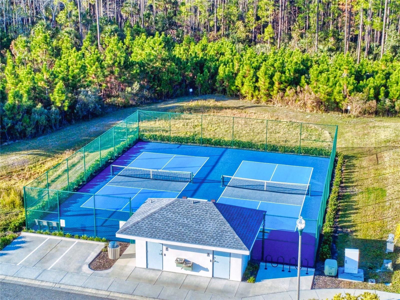 354 Caryota Court New Smyrna Beach FL 32168 V4946296 image25