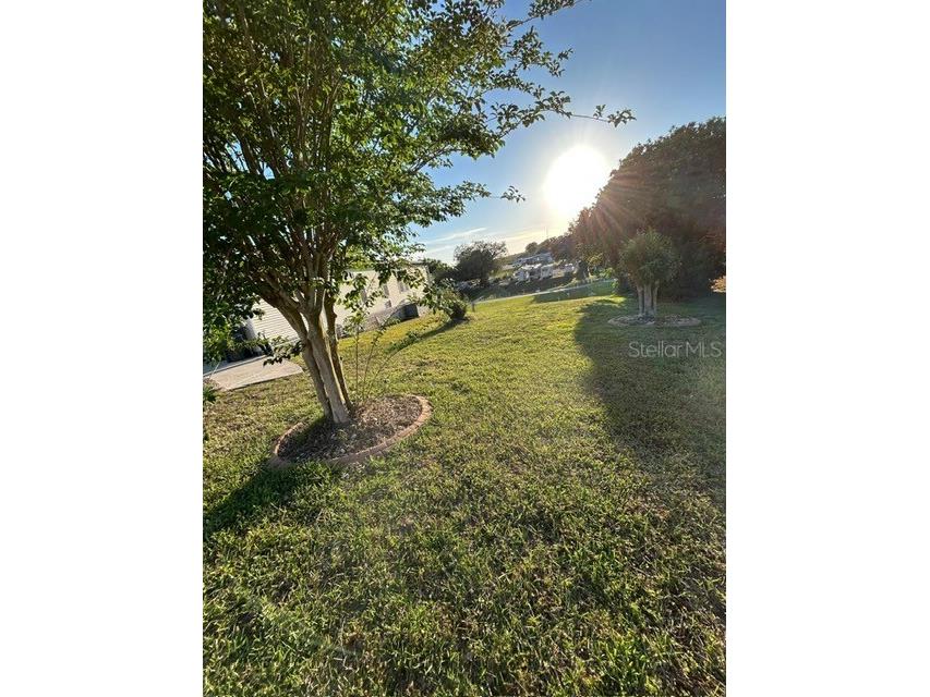 354 Edgewood Lake Wales FL 33898 S5147085 image4