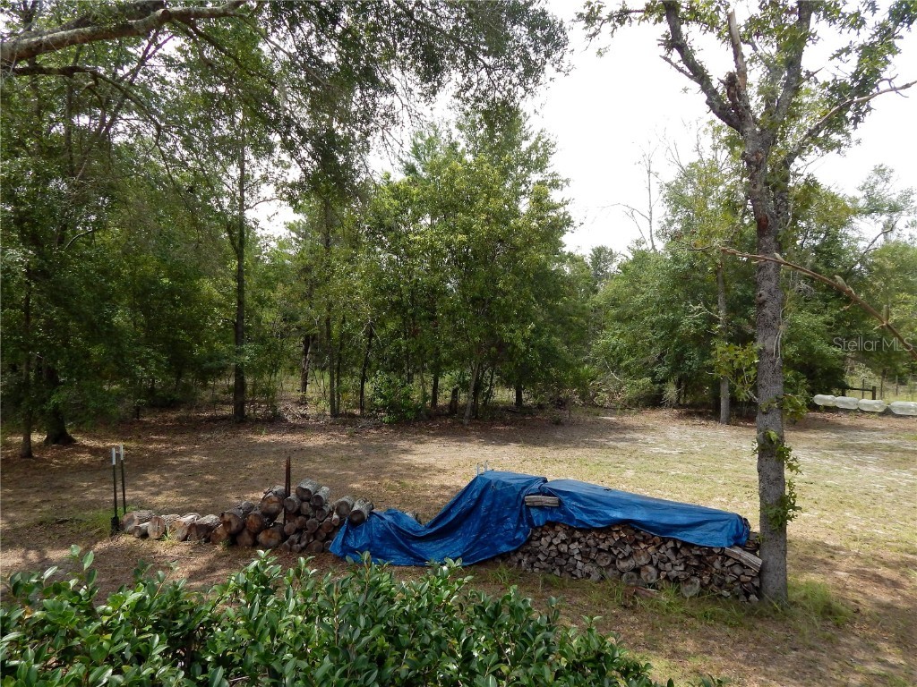 354 NW 93rd Lane Branford FL 32008 GC533197 image27