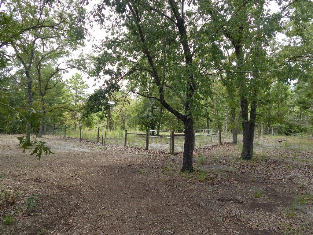 354 NW 93rd Lane Branford FL 32008 GC533197 image34