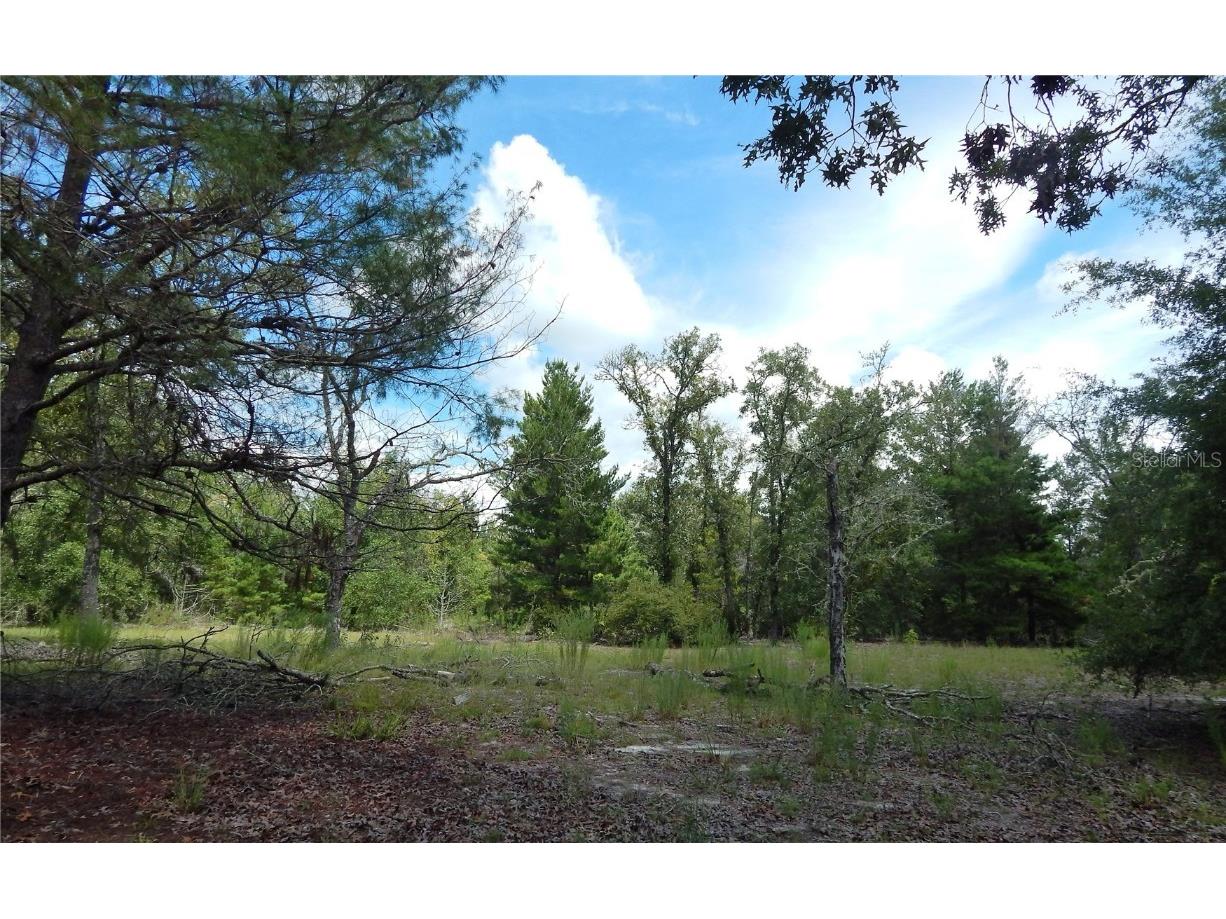 354 NW 93rd Lane Branford FL 32008 GC533197 image35