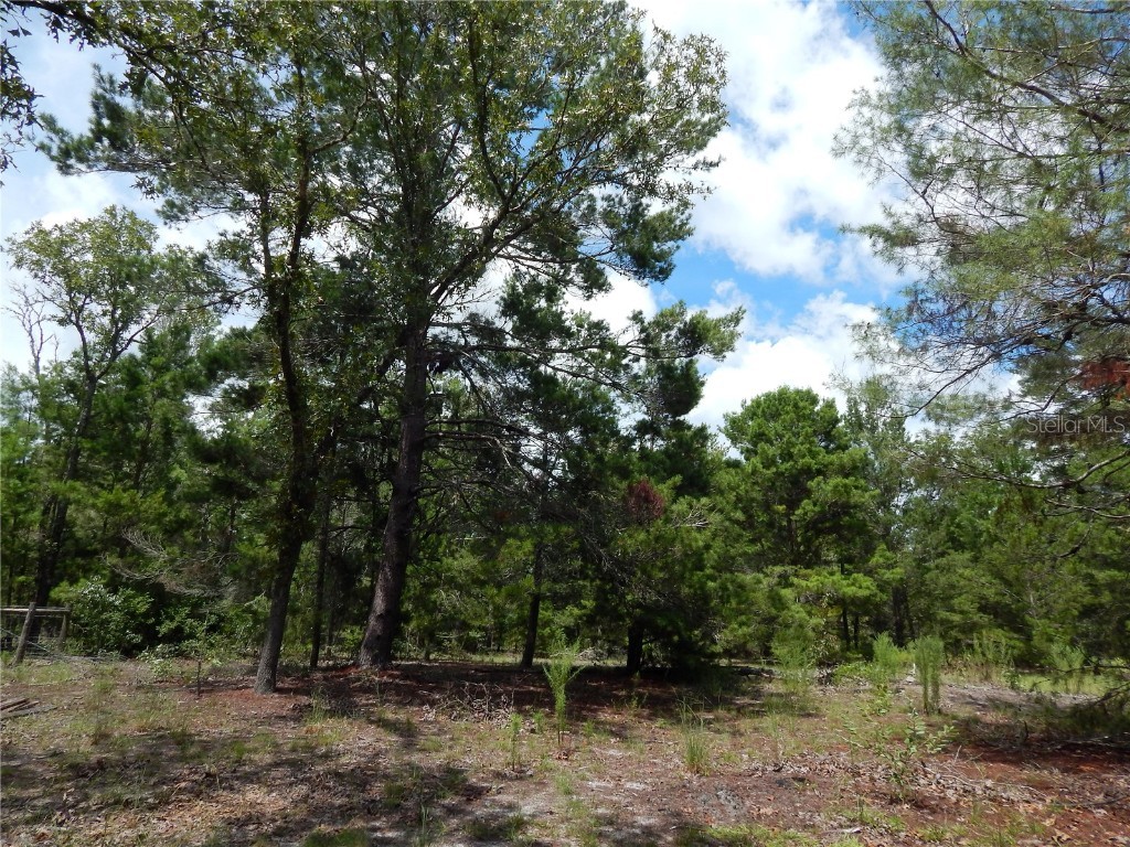 354 NW 93rd Lane Branford FL 32008 GC533197 image36