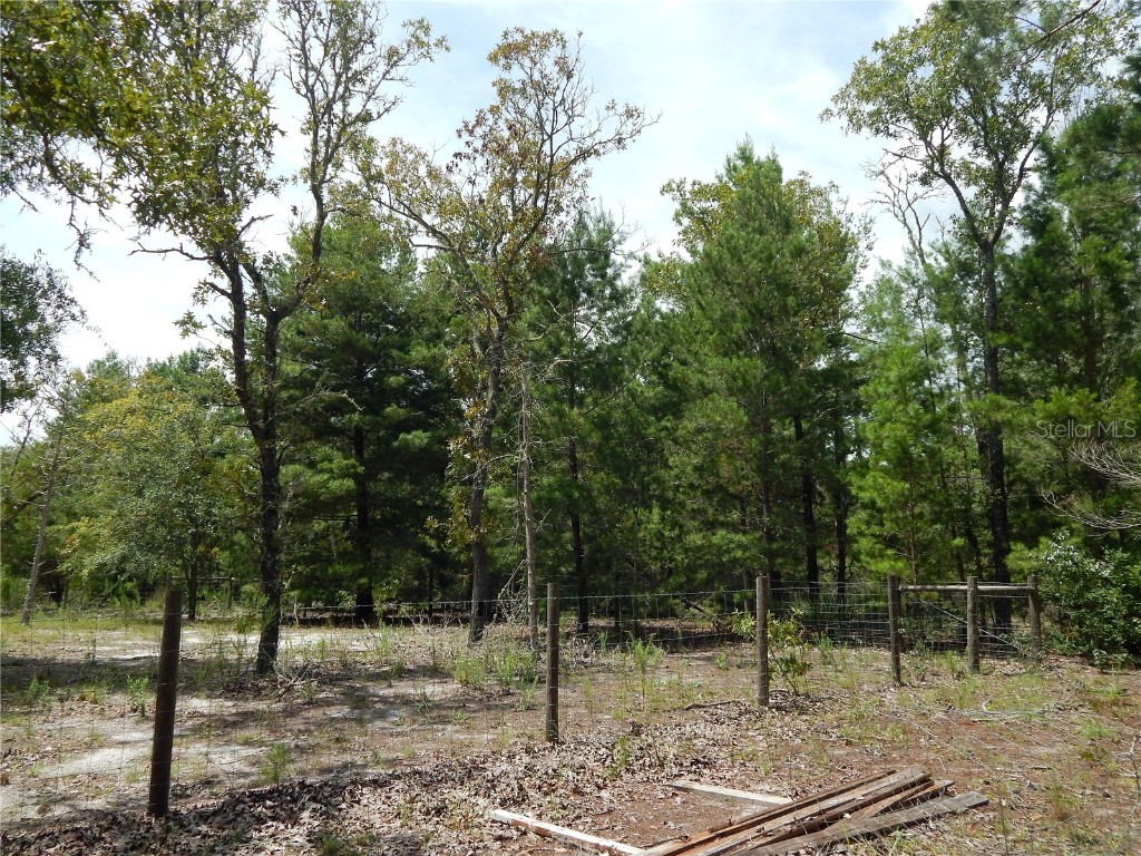 354 NW 93rd Lane Branford FL 32008 GC533197 image37