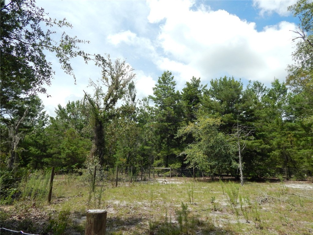 354 NW 93rd Lane Branford FL 32008 GC533197 image38