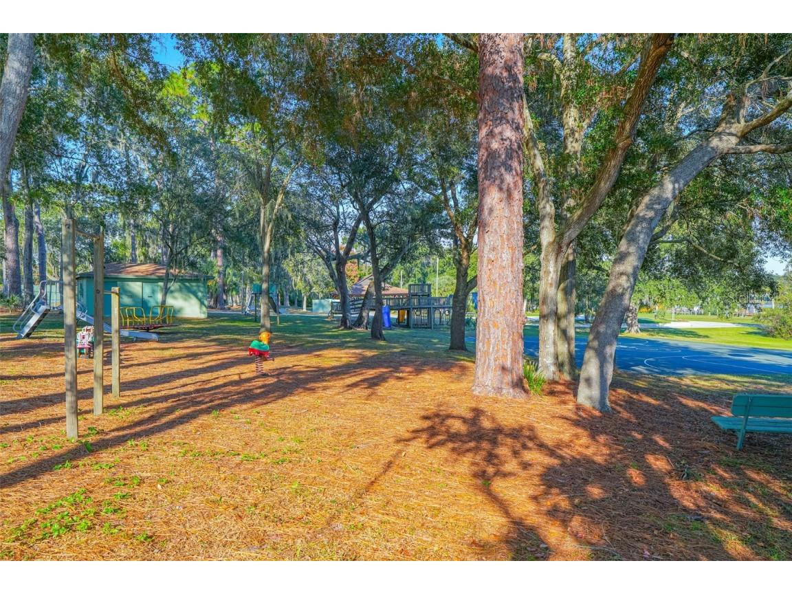 354 Prima Vera Cove Altamonte Springs FL 32714 - Spring Lake O6360011 image59