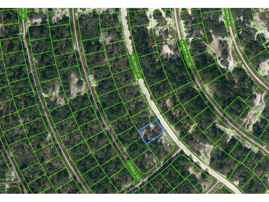 354 Wildwood Drive Lake Placid FL 33852 OM621659 image1