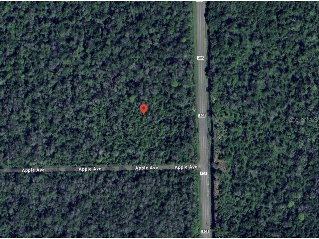 3540 Apple Avenue Bunnell FL 32110 OK224640 image1