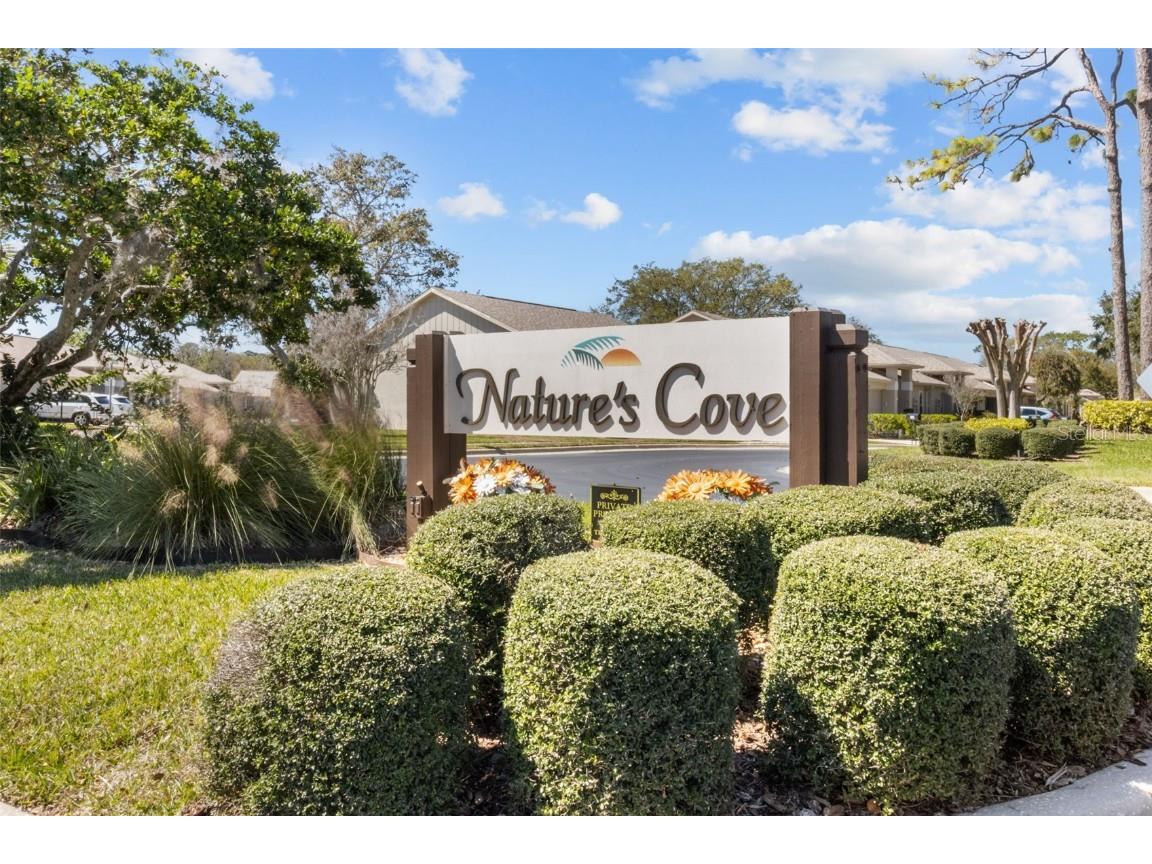 3540 Cayman Court Palm Harbor FL 34684 - LAKE TARPON TB8447215 image2