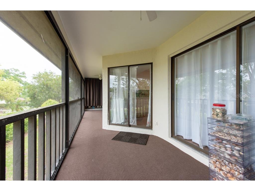 3540 Countrybrook Lane #23 Palm Harbor FL 34684 TB8372480 image29