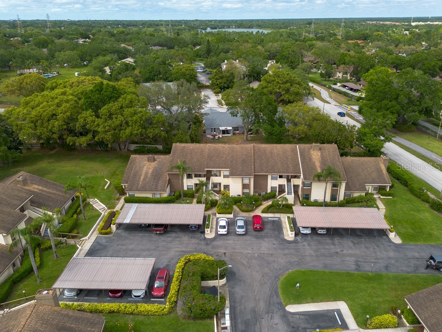 3540 Countrybrook Lane #23 Palm Harbor FL 34684 TB8372480 image3