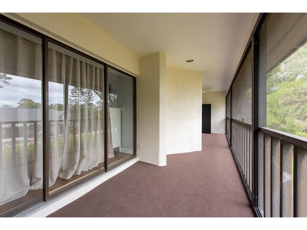 3540 Countrybrook Lane #23 Palm Harbor FL 34684 TB8372480 image32