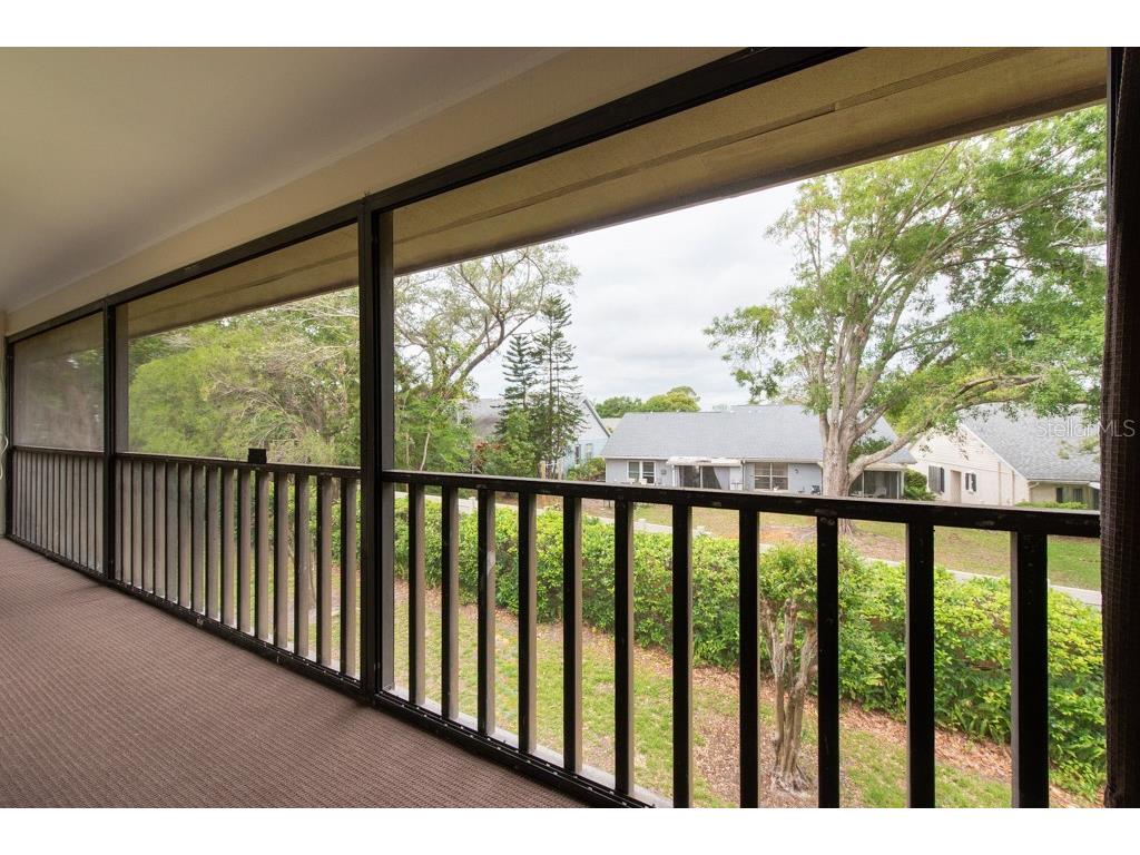 3540 Countrybrook Lane #23 Palm Harbor FL 34684 TB8372480 image33