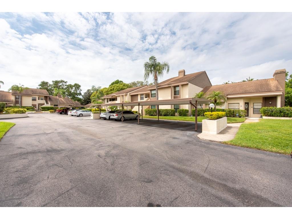 3540 Countrybrook Lane #23 Palm Harbor FL 34684 TB8372480 image38