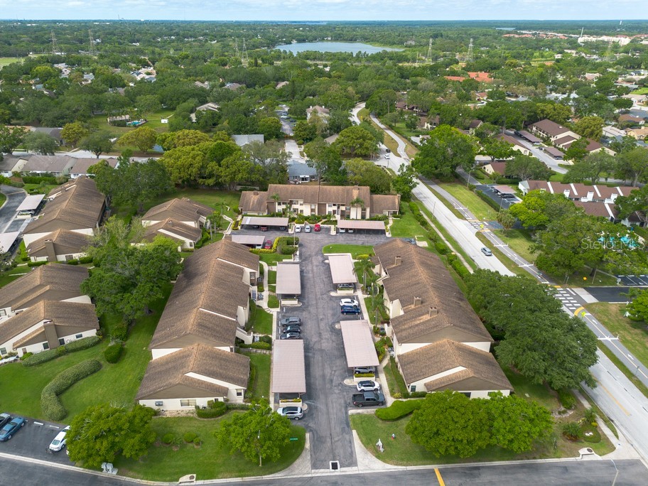 3540 Countrybrook Lane #23 Palm Harbor FL 34684 TB8372480 image41