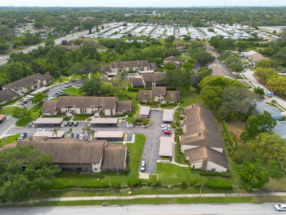 3540 Countrybrook Lane #23 Palm Harbor FL 34684 TB8372480 image42