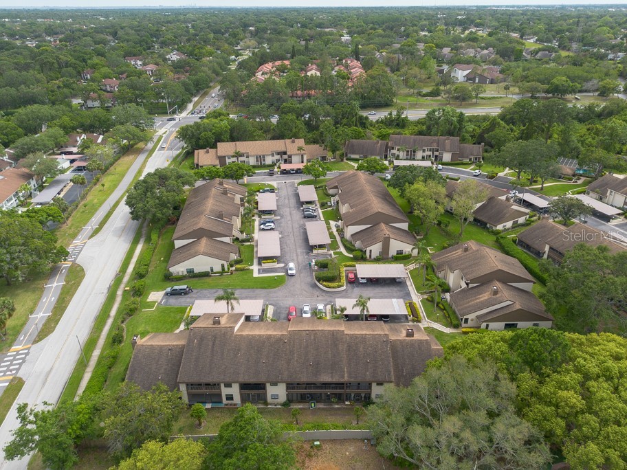 3540 Countrybrook Lane #23 Palm Harbor FL 34684 TB8372480 image43