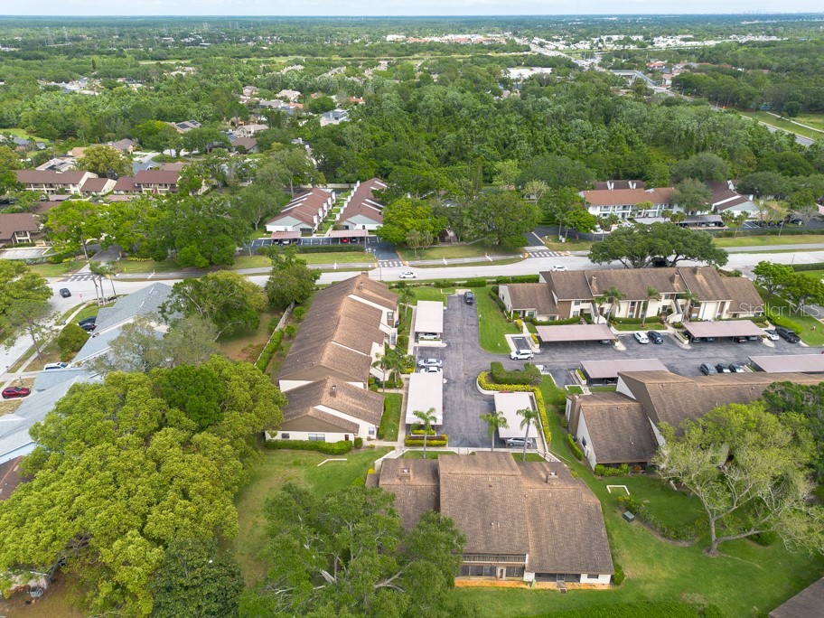 3540 Countrybrook Lane #23 Palm Harbor FL 34684 TB8372480 image44