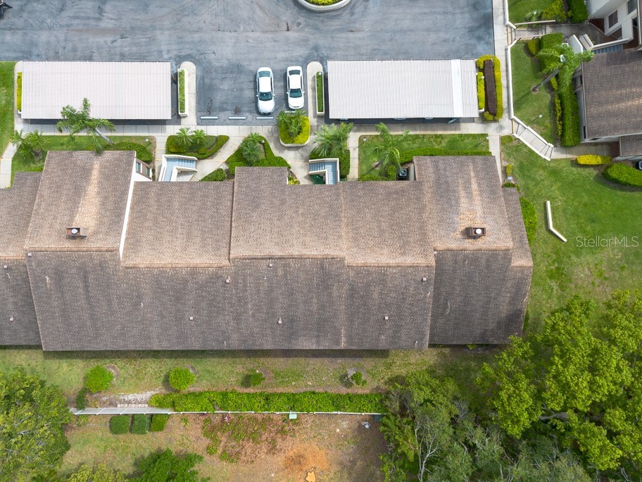 3540 Countrybrook Lane #23 Palm Harbor FL 34684 TB8372480 image45