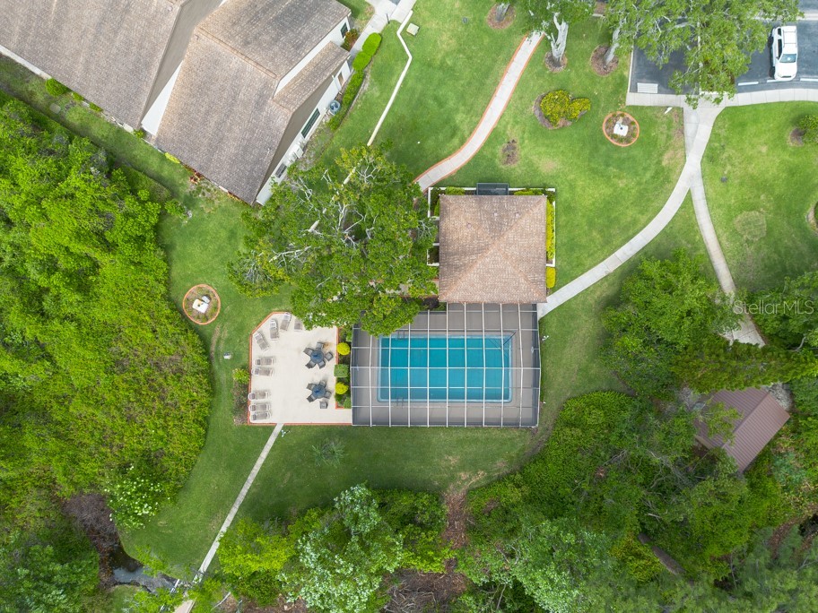 3540 Countrybrook Lane #23 Palm Harbor FL 34684 TB8372480 image46