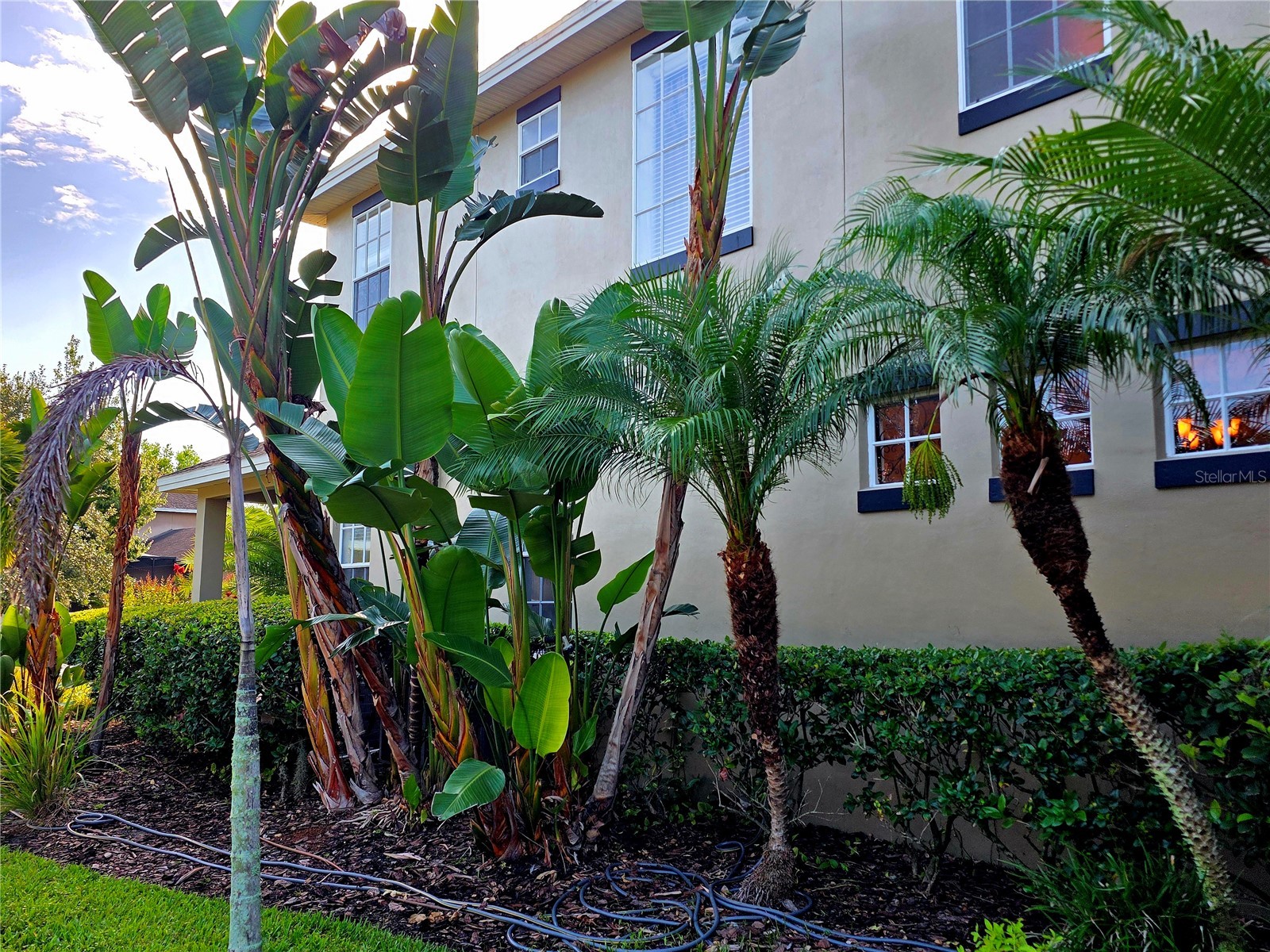 3540 Durrance Street New Port Richey FL 34655 W7884430 image45