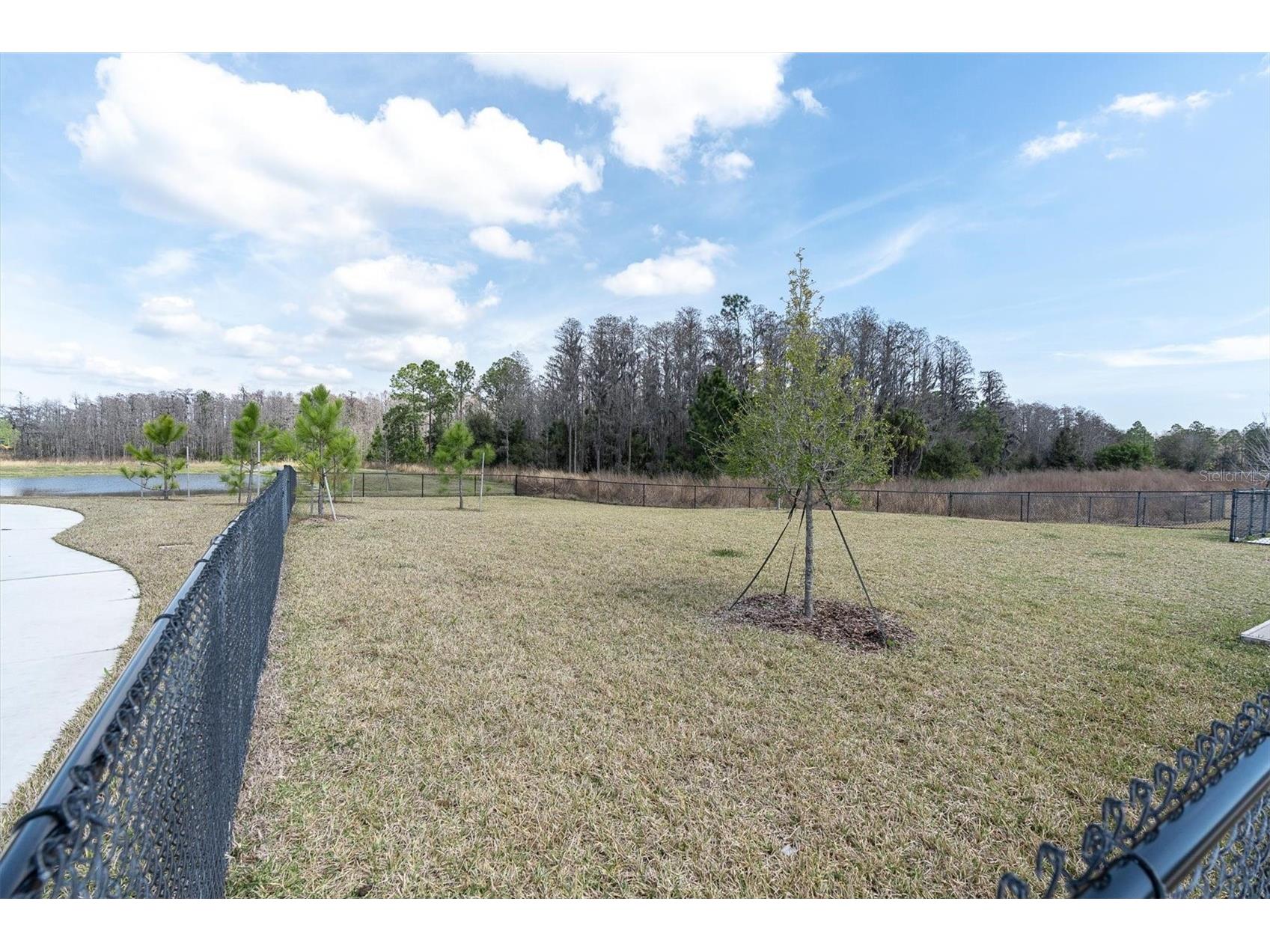 3540 Durrance Street New Port Richey FL 34655 W7884430 image60