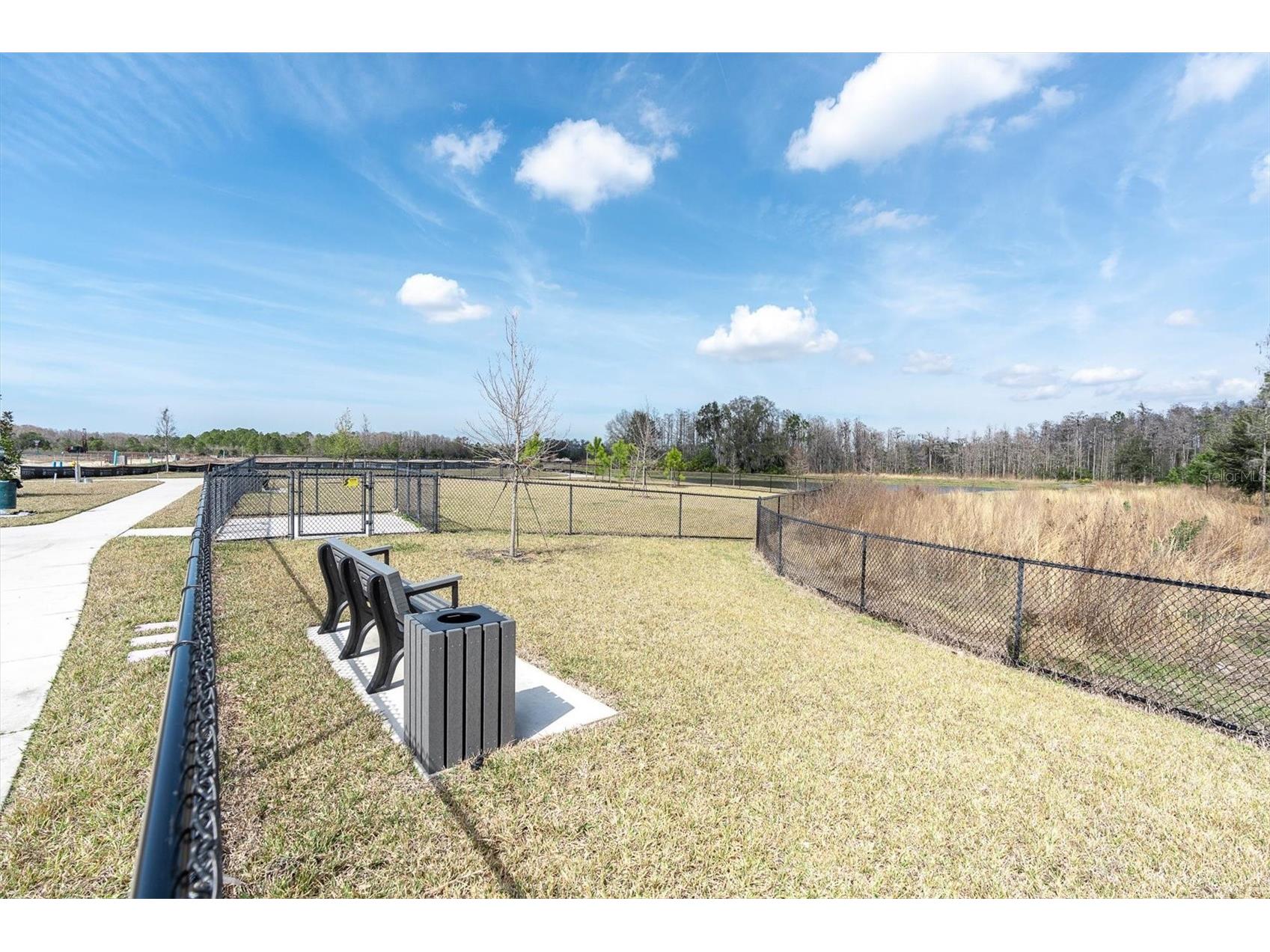 3540 Durrance Street New Port Richey FL 34655 W7884430 image64