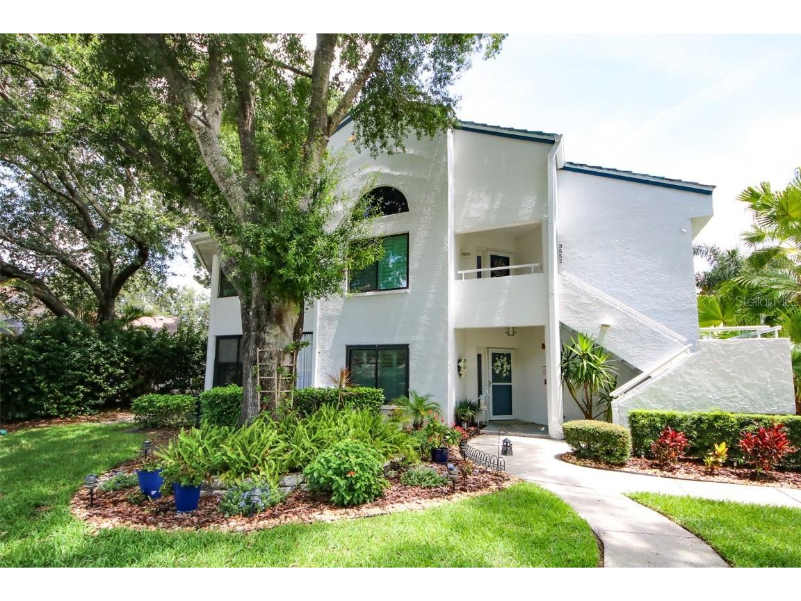 3540 Indigo Pond Drive #1 Palm Harbor FL 34685 U8206801 image1