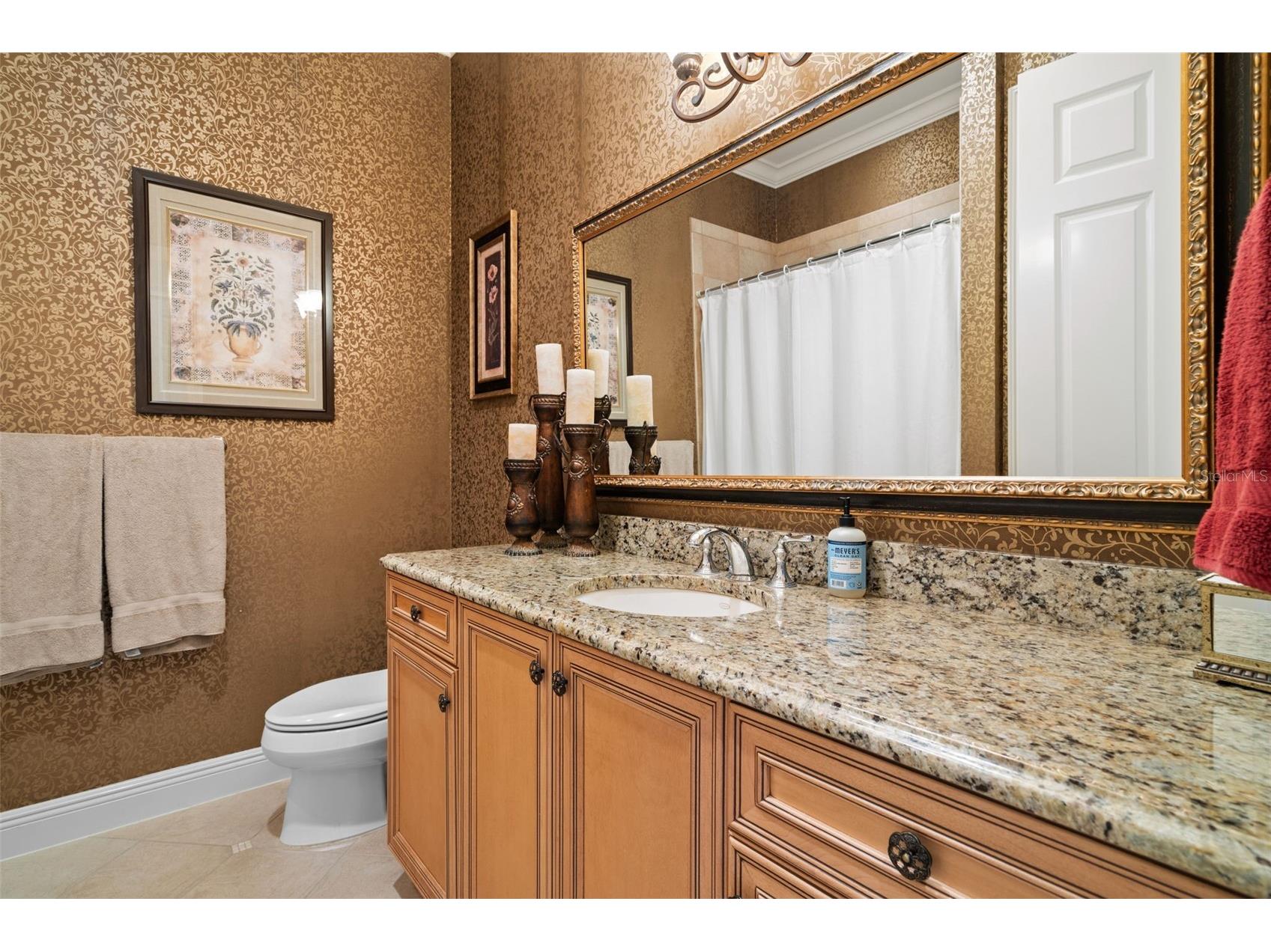 3540 Legacy Hills Court Longwood FL 32779 O6408704 image59