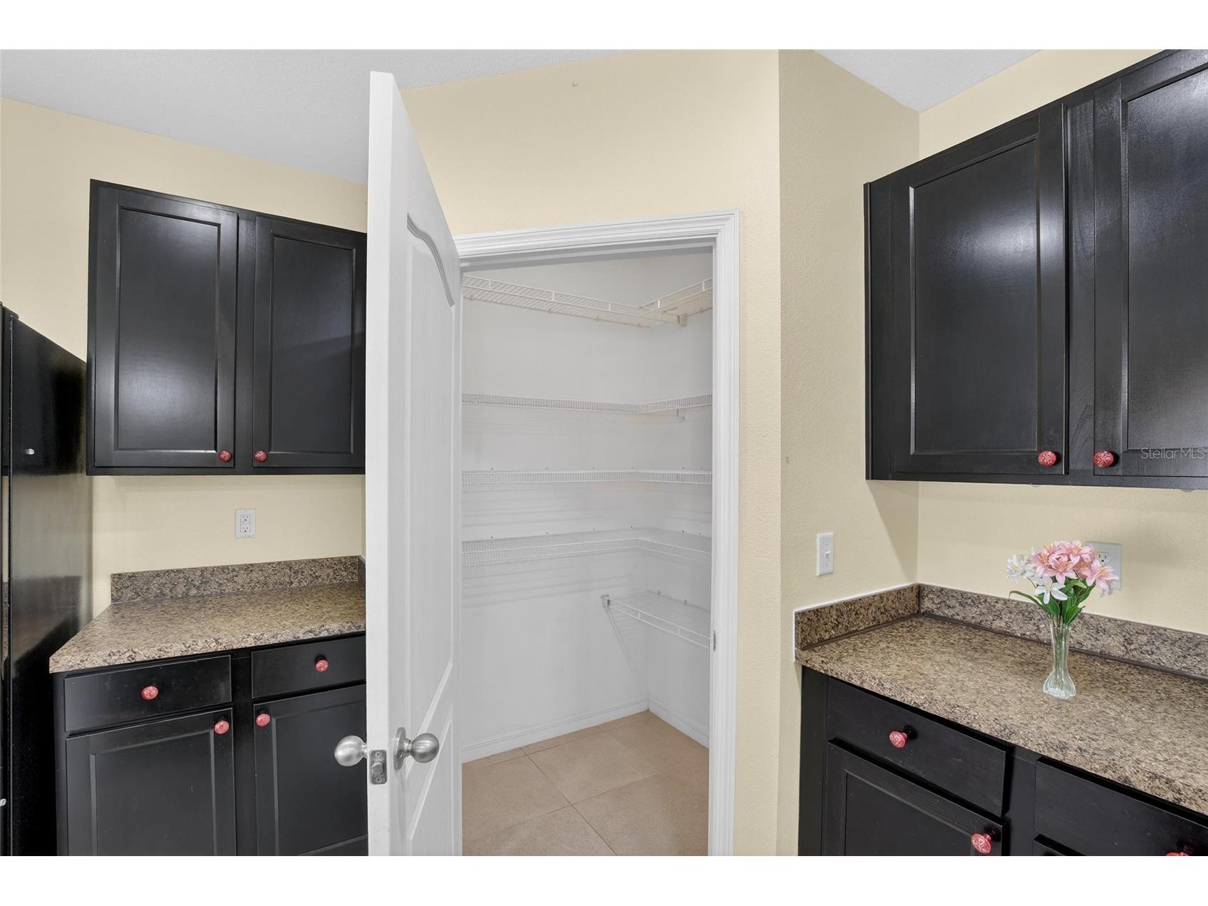 3540 San Moise Place Plant City FL 33567 L4960339 image8
