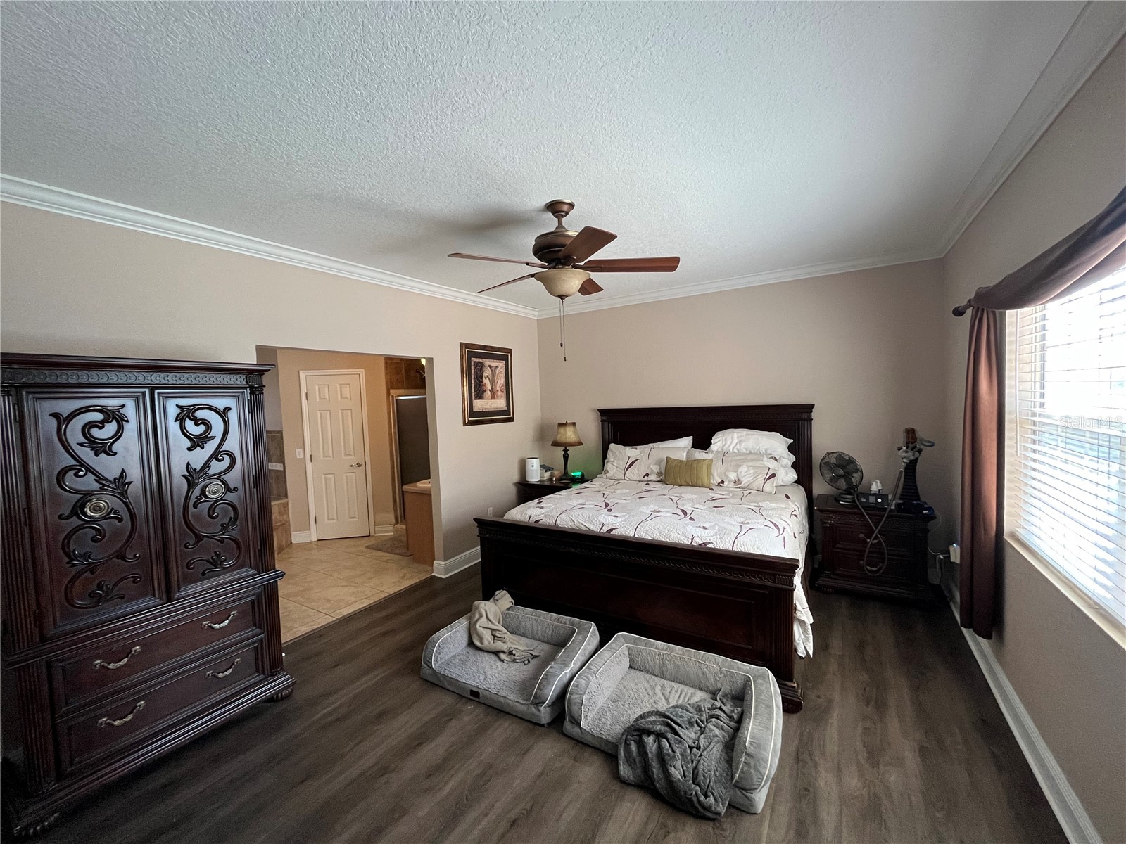 35400 Lake Ray Drive Dade City FL 33525 TB8472371 image13