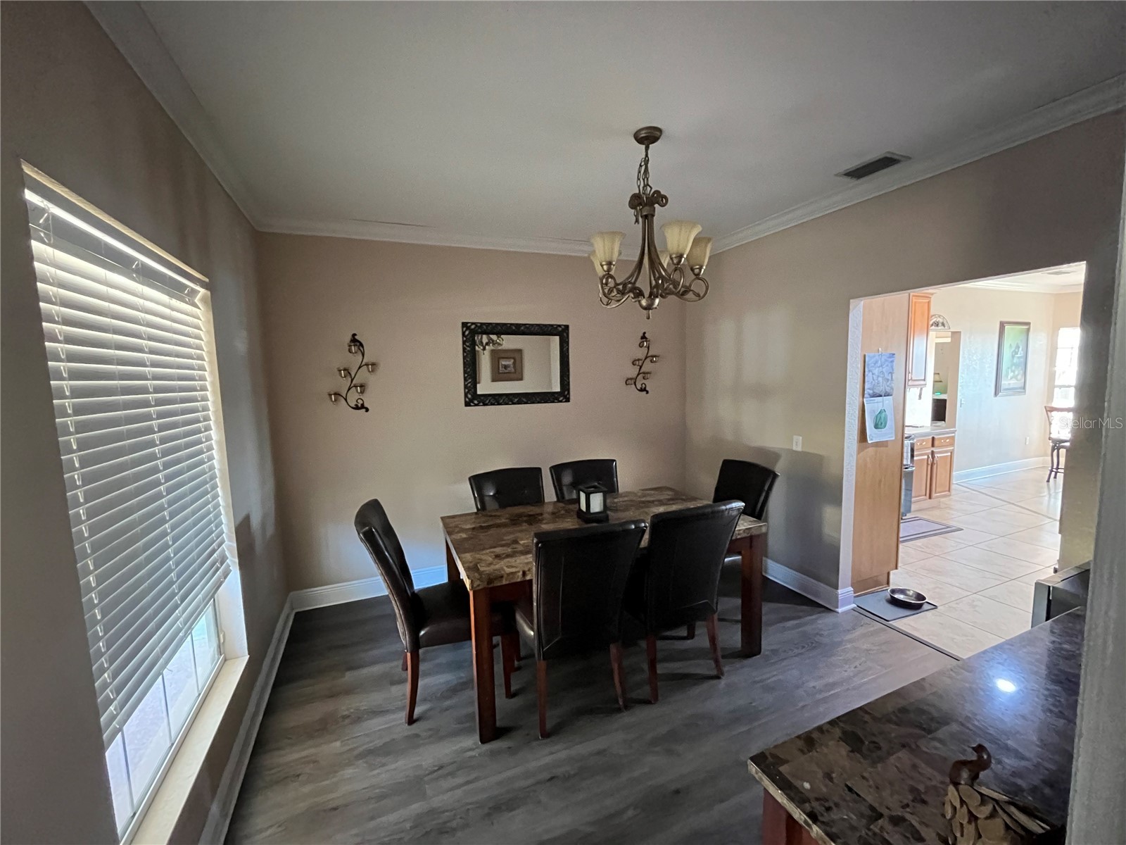 35400 Lake Ray Drive Dade City FL 33525 TB8472371 image20