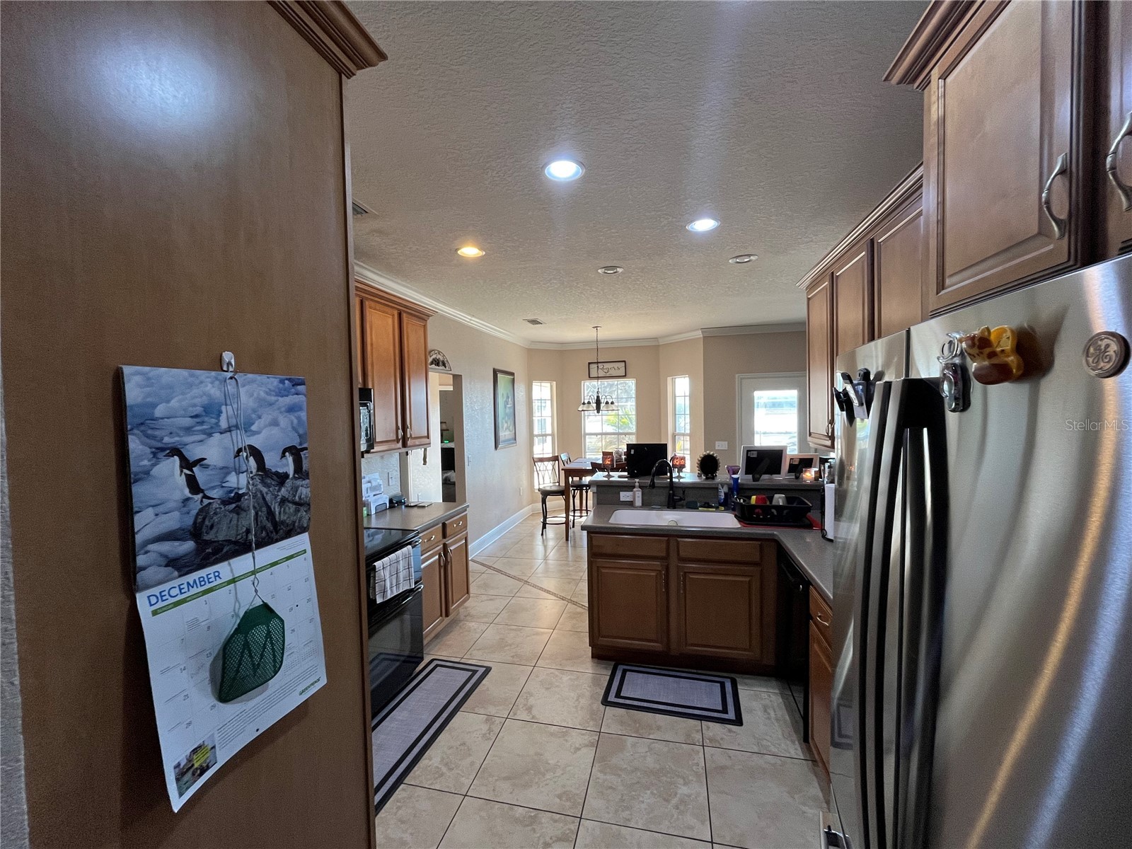 35400 Lake Ray Drive Dade City FL 33525 TB8472371 image21