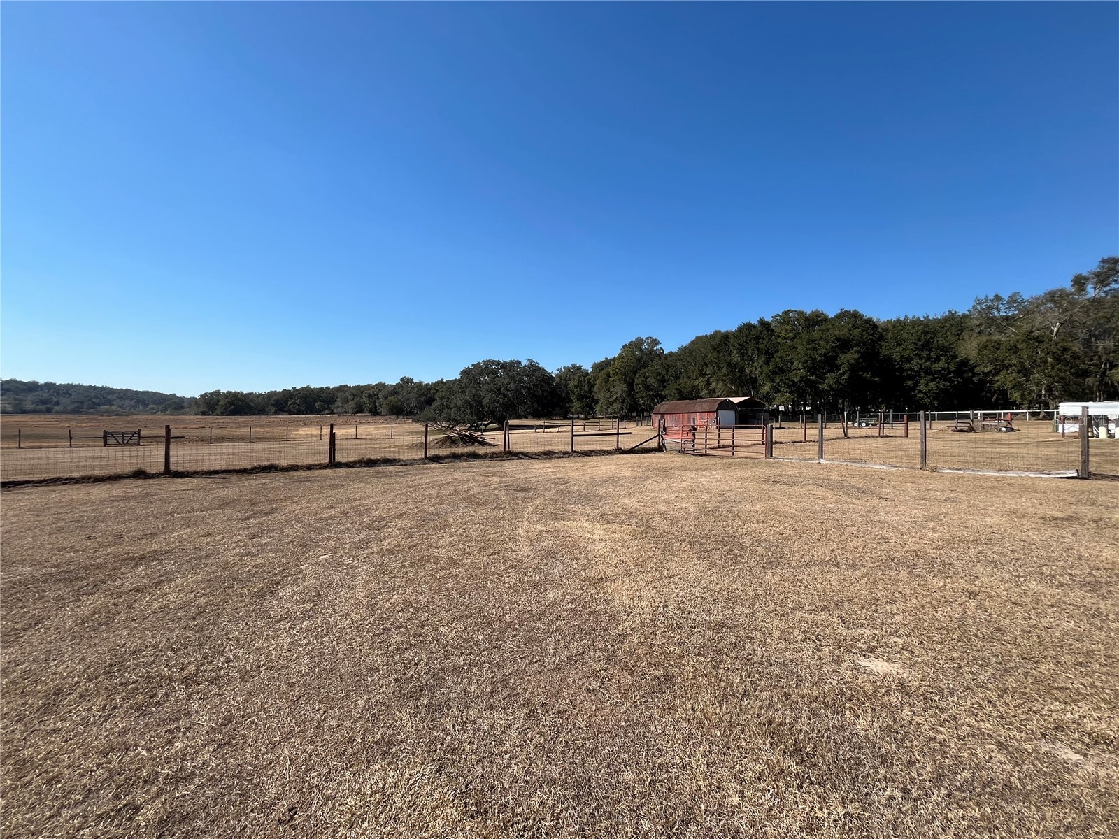 35400 Lake Ray Drive Dade City FL 33525 TB8472371 image28