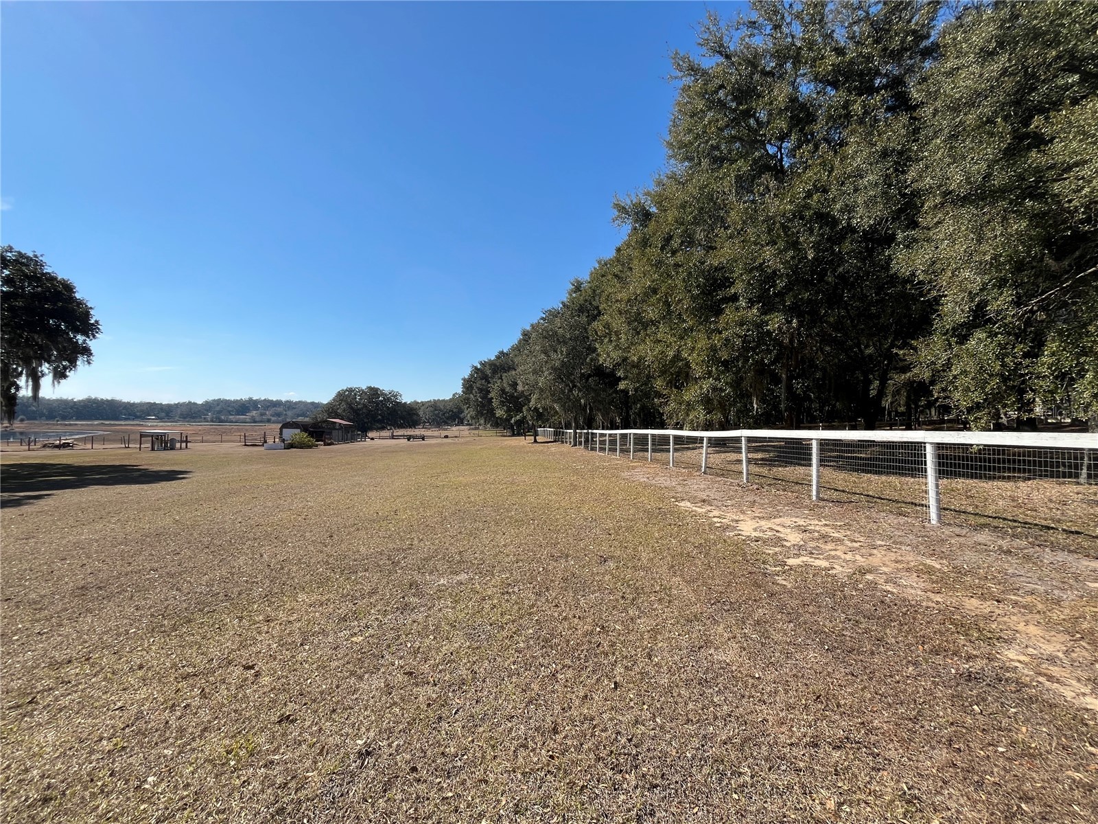 35400 Lake Ray Drive Dade City FL 33525 TB8472371 image31