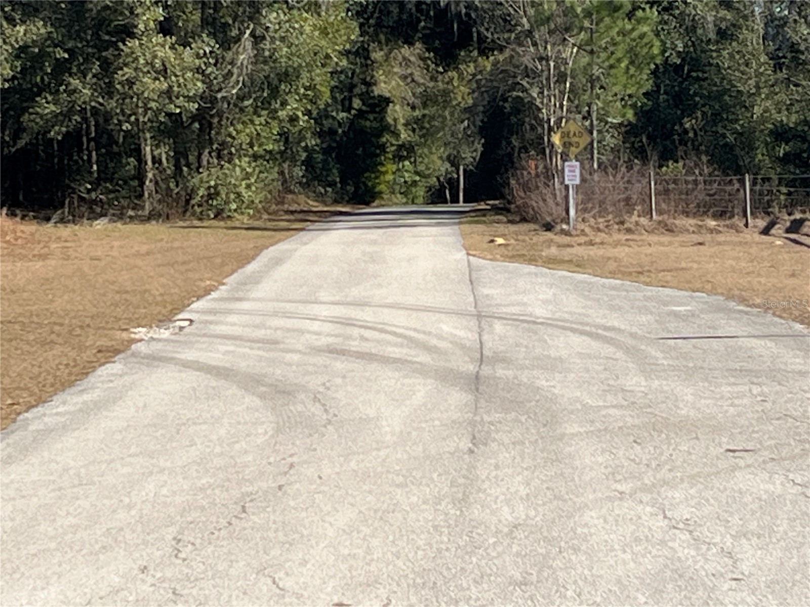 35400 Lake Ray Drive Dade City FL 33525 TB8472371 image33