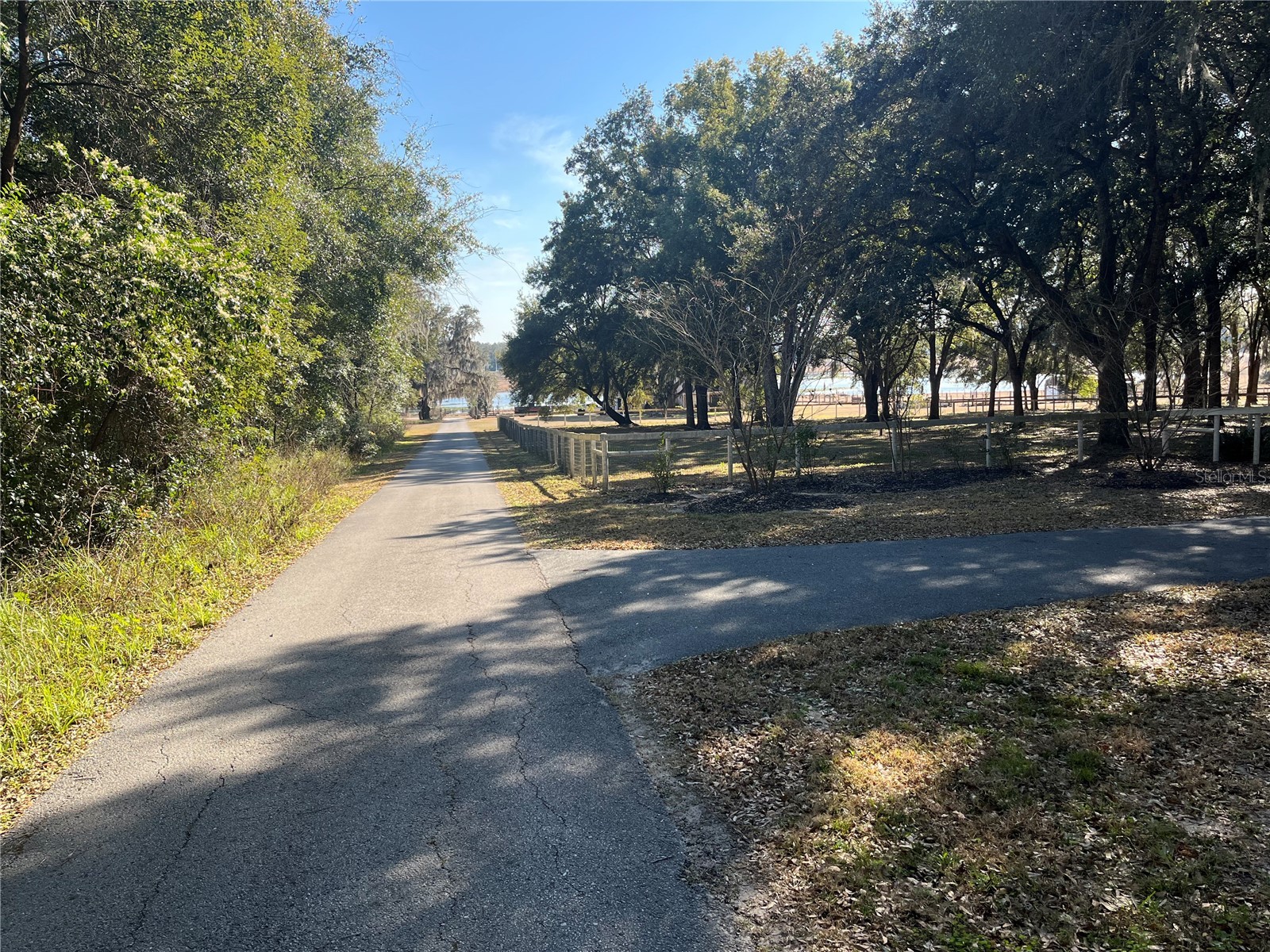 35400 Lake Ray Drive Dade City FL 33525 TB8472371 image34