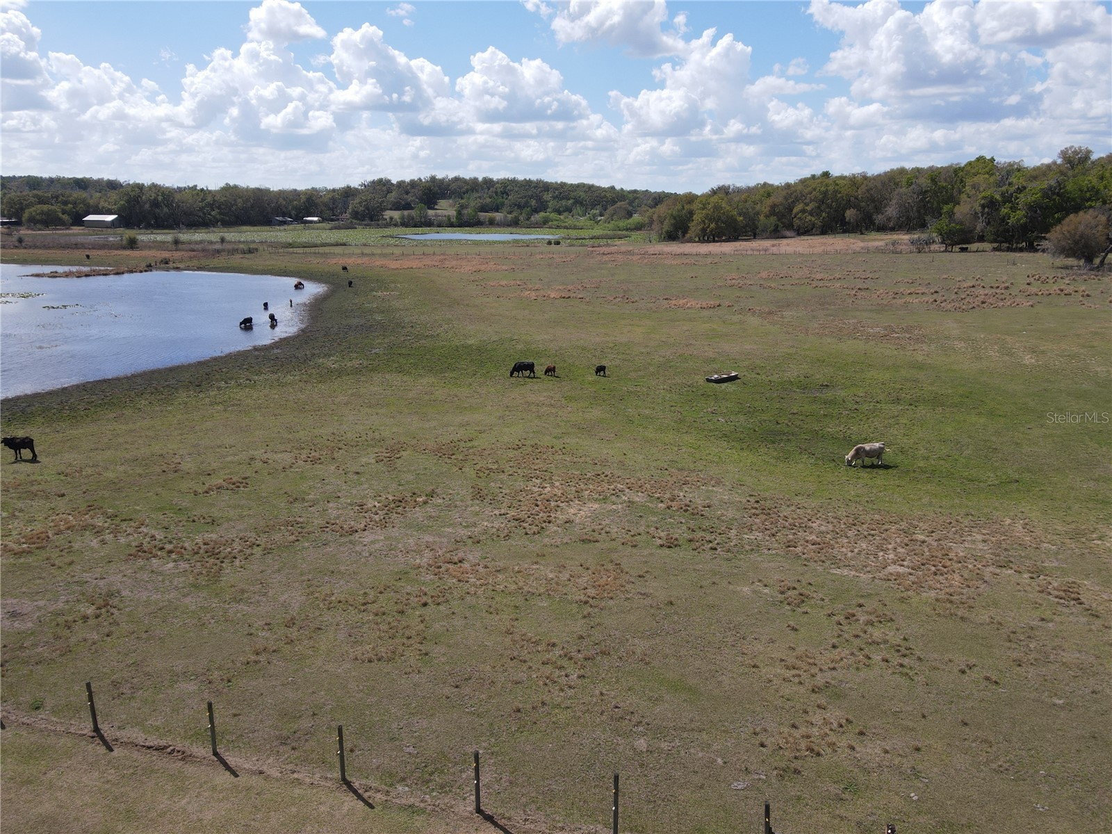 35400 Lake Ray Drive Dade City FL 33525 TB8472371 image39